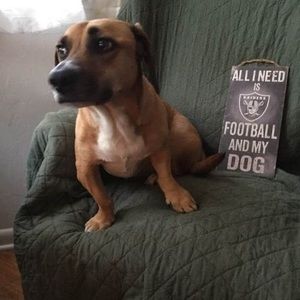 Meet your Posher, Ron